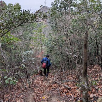 次！
まただいぶん下ろされるな