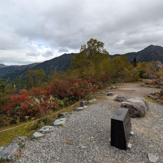 左奥が爺ヶ岳、鳴沢・赤沢・スバリ・針ノ木