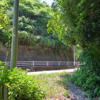 出発点近くの車道に出ました。
糸島の低山巡り、楽しかったです