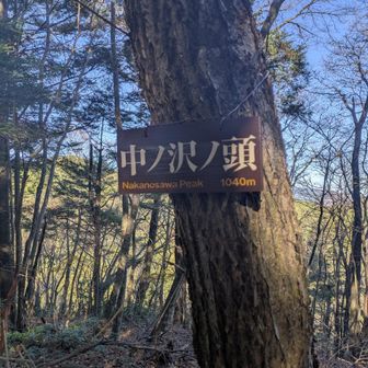 中ノ沢ノ頭。樹林帯で展望はありません