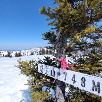 ほいっ、来たで
陽射し激つよで焦げてます