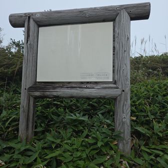 読めません
