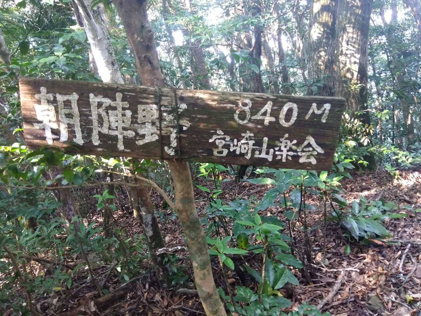 これが見たかった✌️