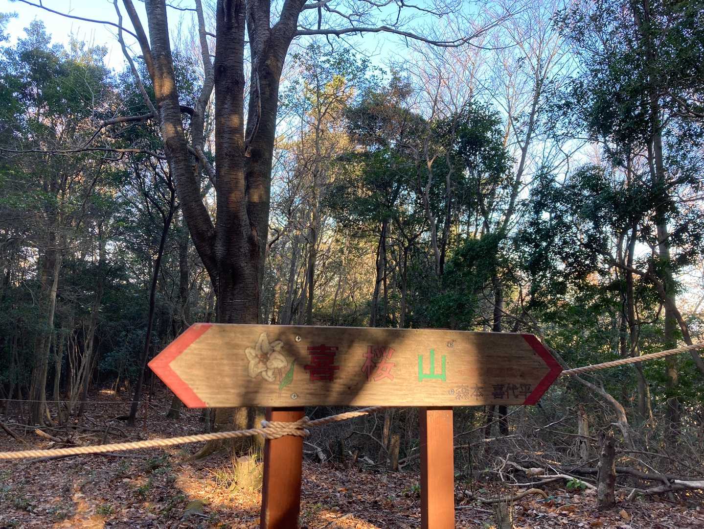 1座目❗️喜桜山⛰
でも山頂マークはここじゃないですね。