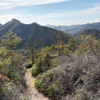 人気の山なのが理解できる