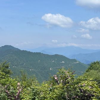 手前の山が高賀山。奥には白山や北アルプスなど見えるはずですが、雲が多く視認できません。高山では天気荒れているのかしら？