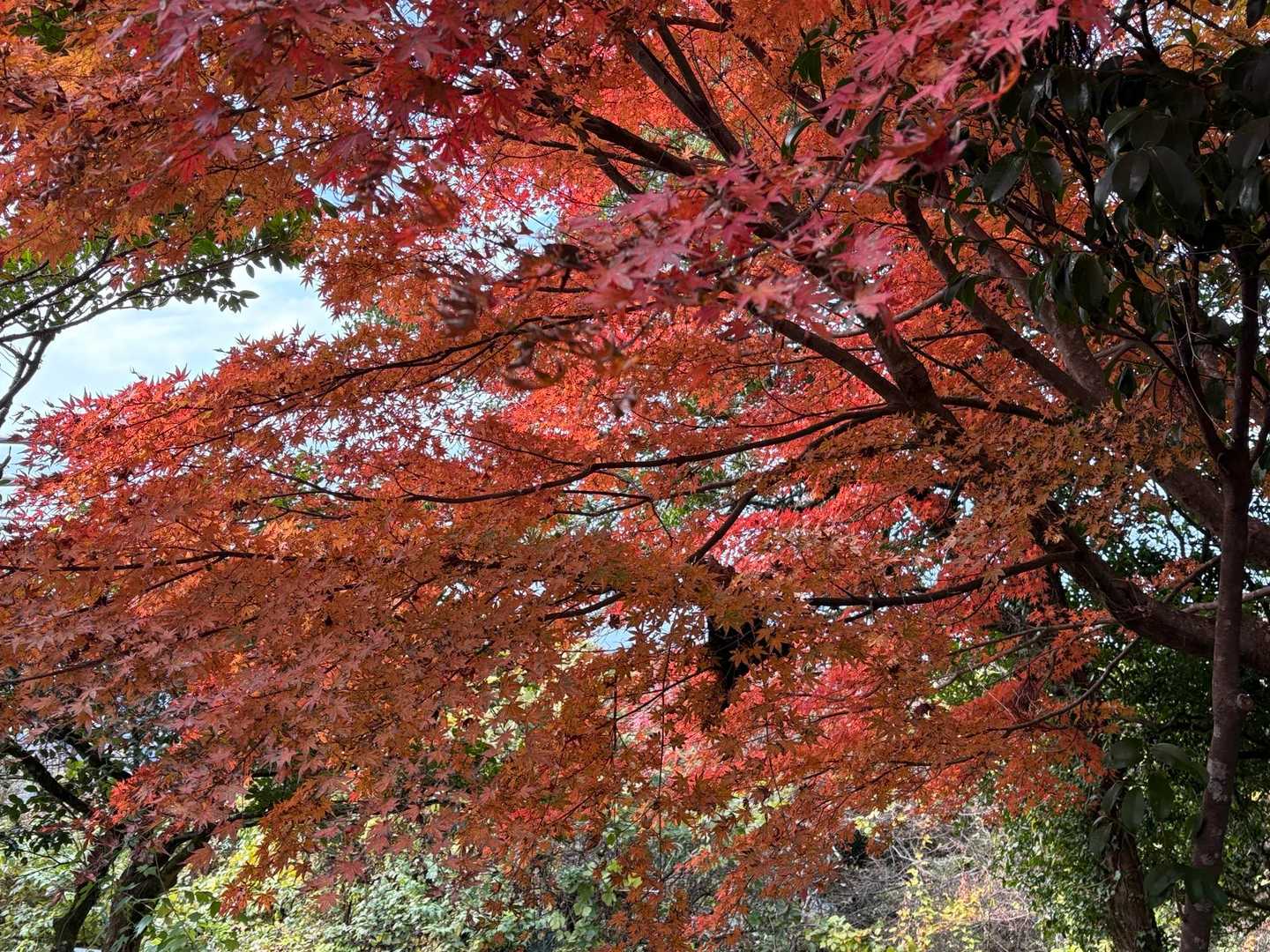 金峰山登山口-金峰山 周回コースの写真