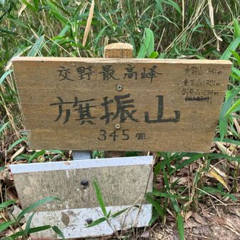 旗振山⛰️山頂