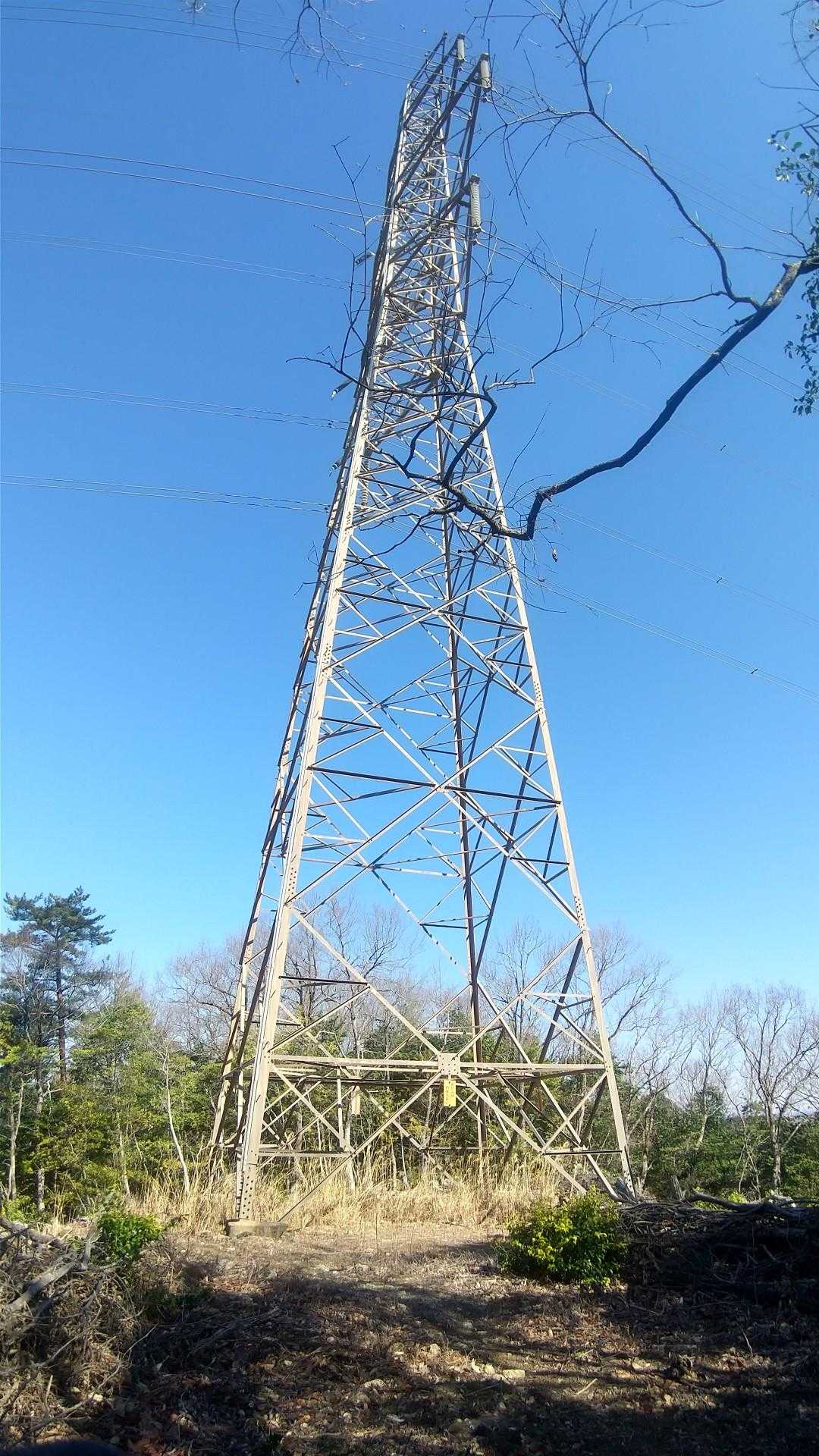 通常ルートから逸れて歩行🚶‍♂️
鉄塔に出ました🗼
鉄塔周りは経験上だいたい道が分からなくなって迷うけど、今回も案の定🌀😅