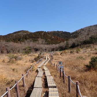湿原の風景
空は青いが山から下りてきた人は、「富士山は見えなかった」と残念がっていた。