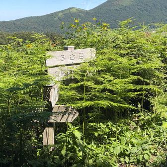 駐車場から３合目。
そしてここが本当の登山口