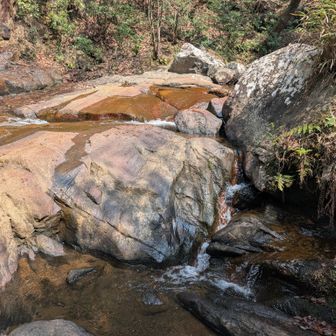腕に水をかけてクールダウンしました