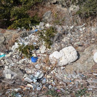 でも潮溜まりには打ち上げられたゴミが散乱