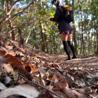 さて、下山します。
落ち葉🍂のもふもふを撮ったつもりが盗撮みたいになってしまった…(￣▽￣;)