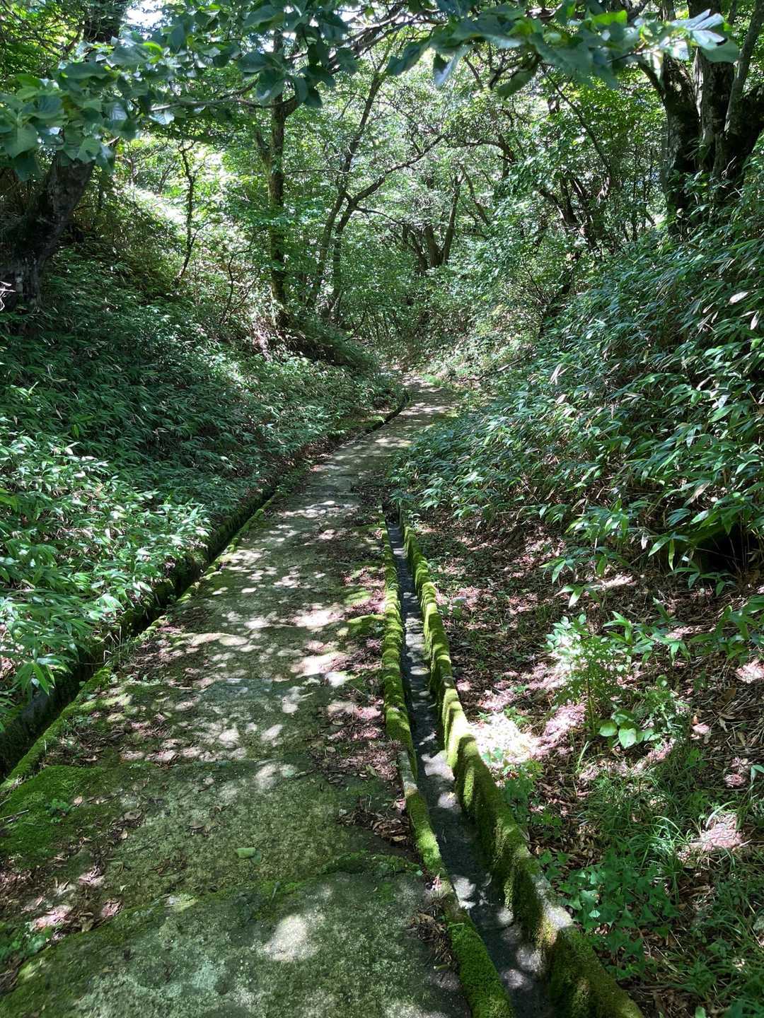 脊振山往復 | 川の流れる音が耳に心地よい、整備された登山コースの写真