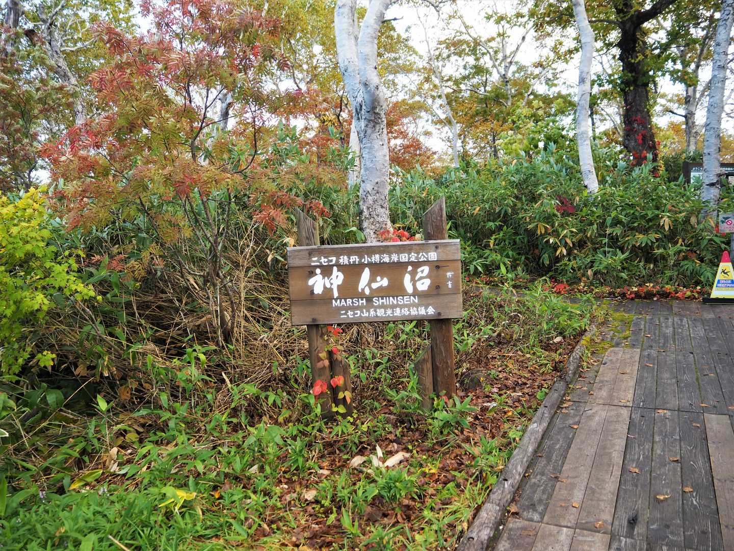 看板、綺麗です❗