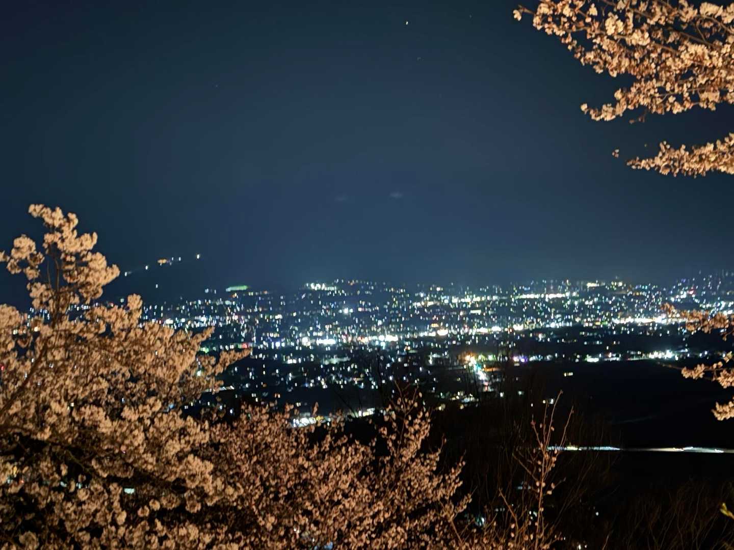 光城山往復 | 安曇野の田園と北アルプスを望む展望台へ、桜のトンネルを抜けての写真