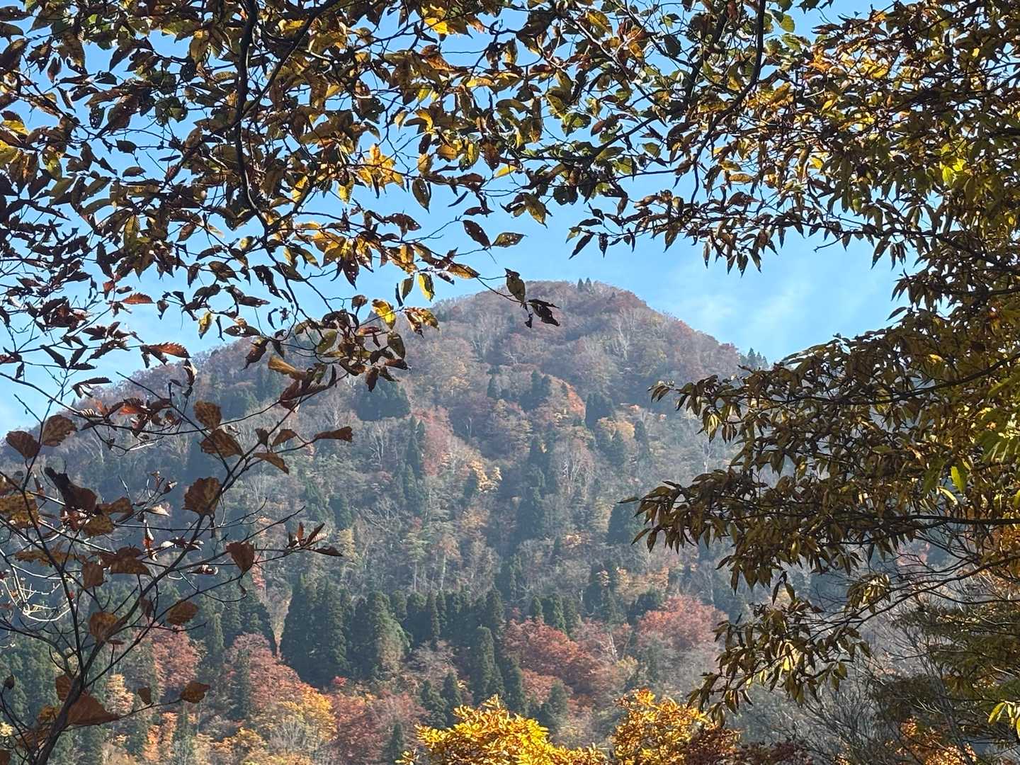 山頂振り返って