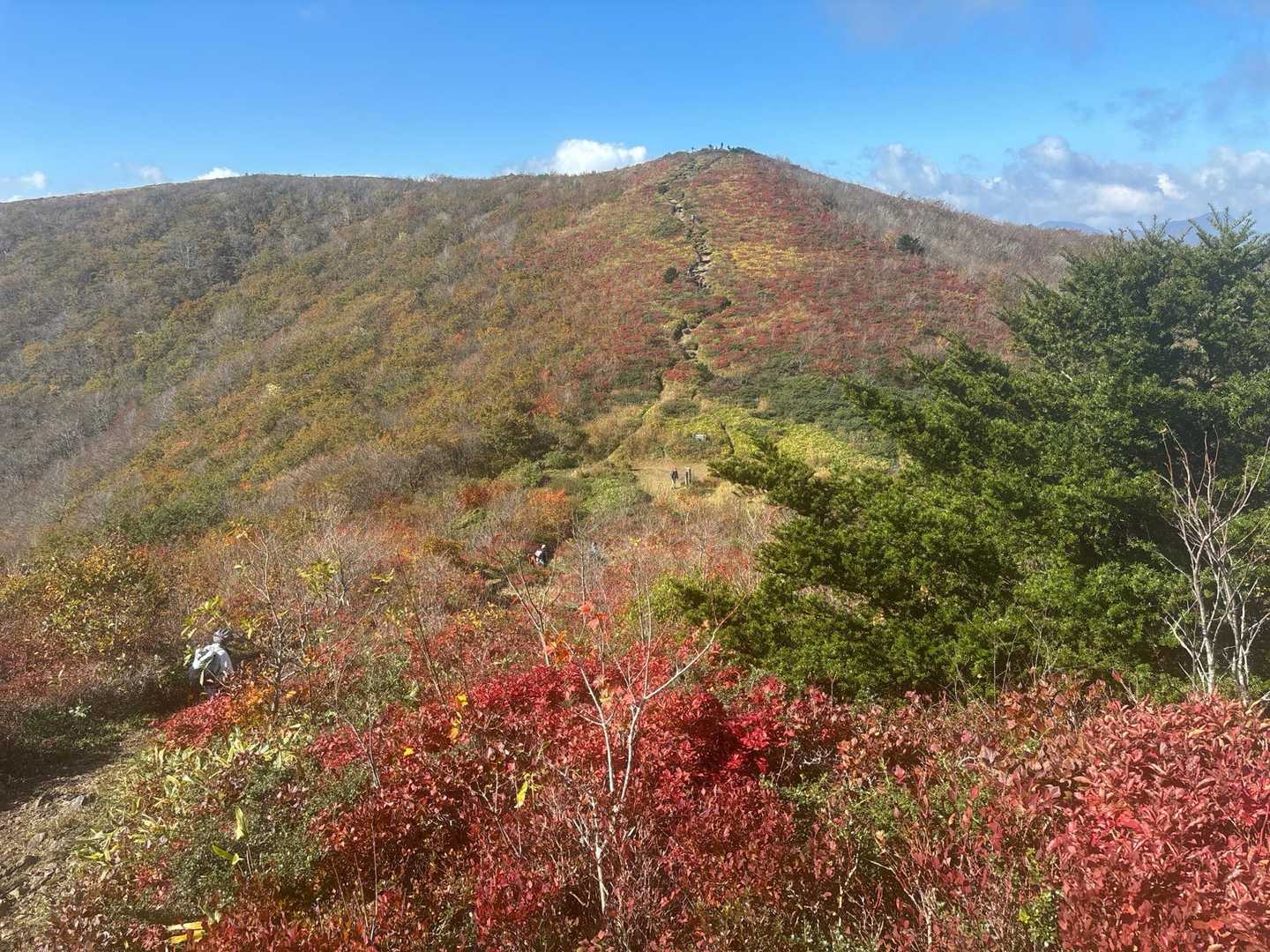 立烏帽子⛰️超えて池の段へ
色付きが良い感じ
