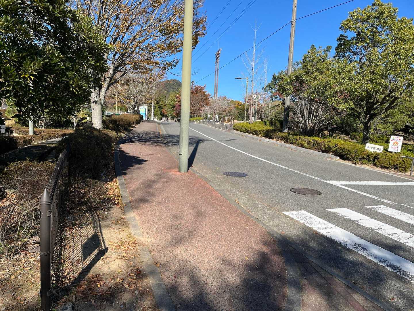 焼山公園まで歩いて、本日もお疲れ山⛰️⛰️でした😄