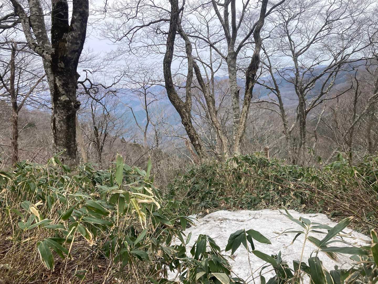 毛無山-白馬山 周回コースの写真