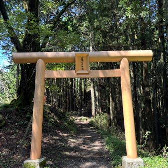 武蔵御嶽神社の⛩️
ありがとうございました🙏