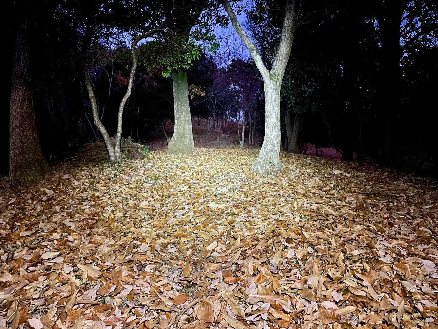 落ち葉🍂ズルズル急登💦