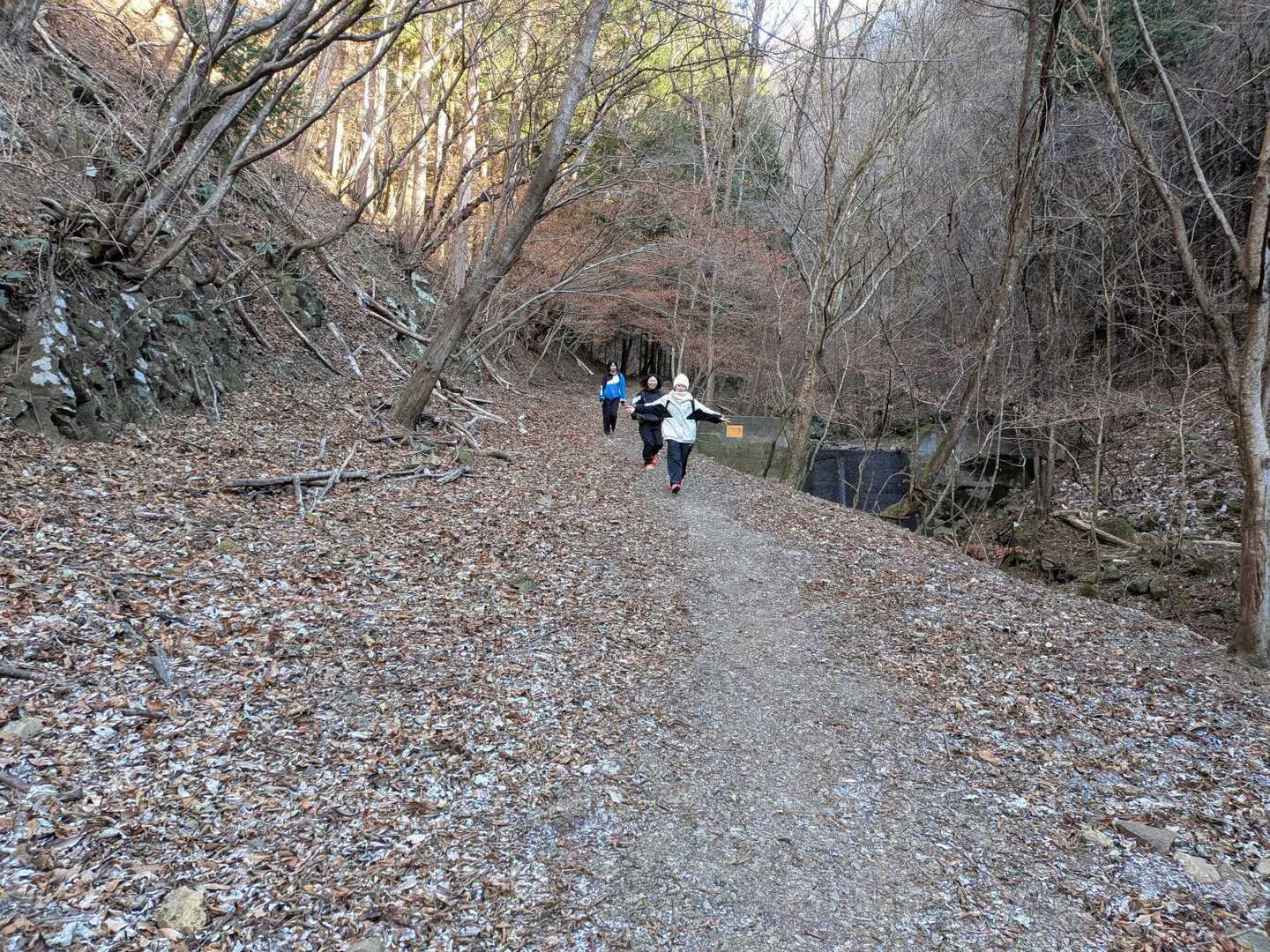 駒形登山口-鳴神山 往復コースの写真