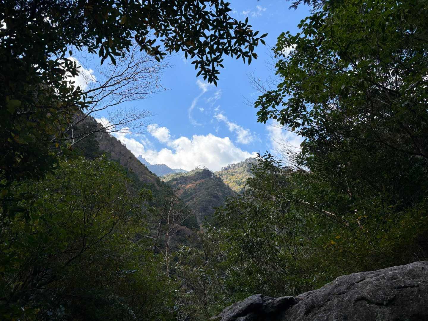 縄文杉-ウィルソン株-辻峠-白谷雲水峡登山口 縦走コースの写真
