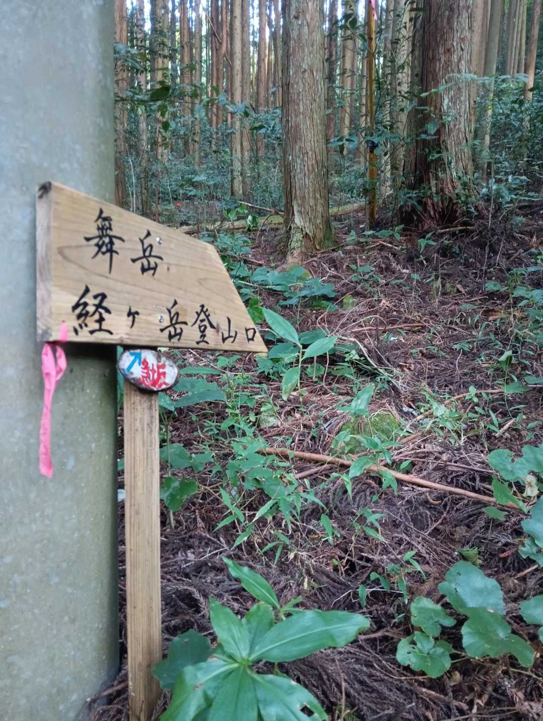 入口のトコに小さく「急坂」宣言🤣