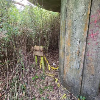 無事下りてきました。看板は解読不能です。