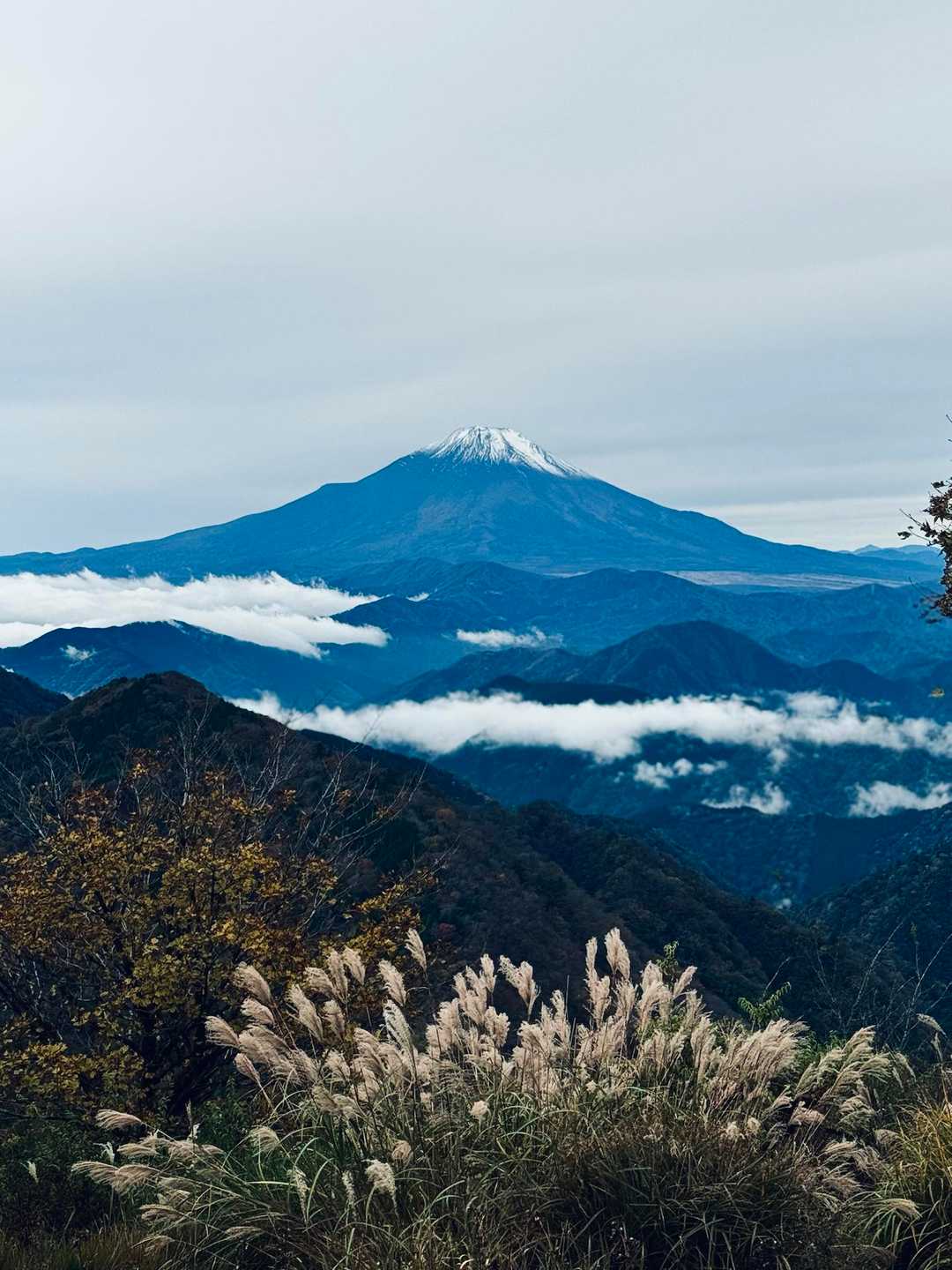 鍋割山 往復コースの写真