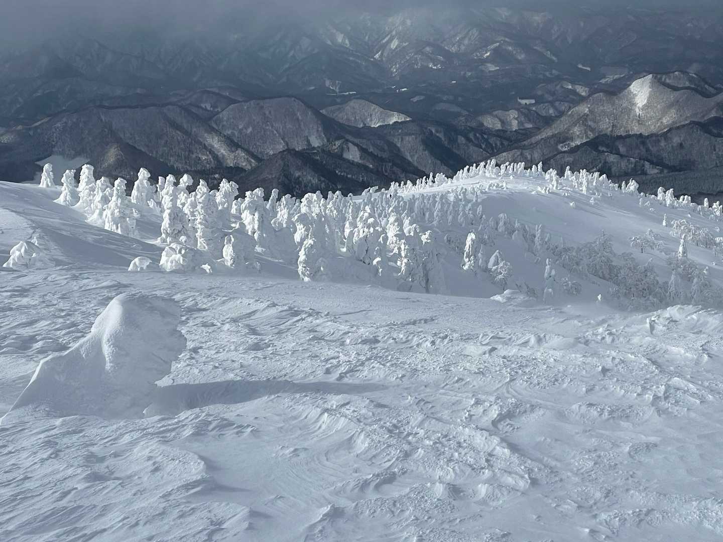 見下すとこの景色🤩