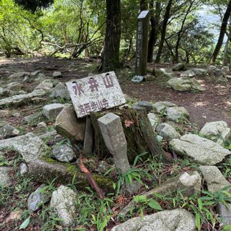 水井山ピーク✨