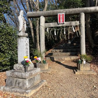 この上にピークが！？