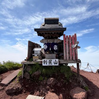 頂き〜！