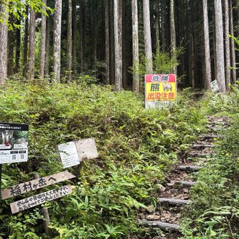 やっと舗装路まで出てきました
振り返って📷
