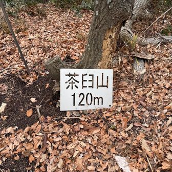 9座目、茶臼山
