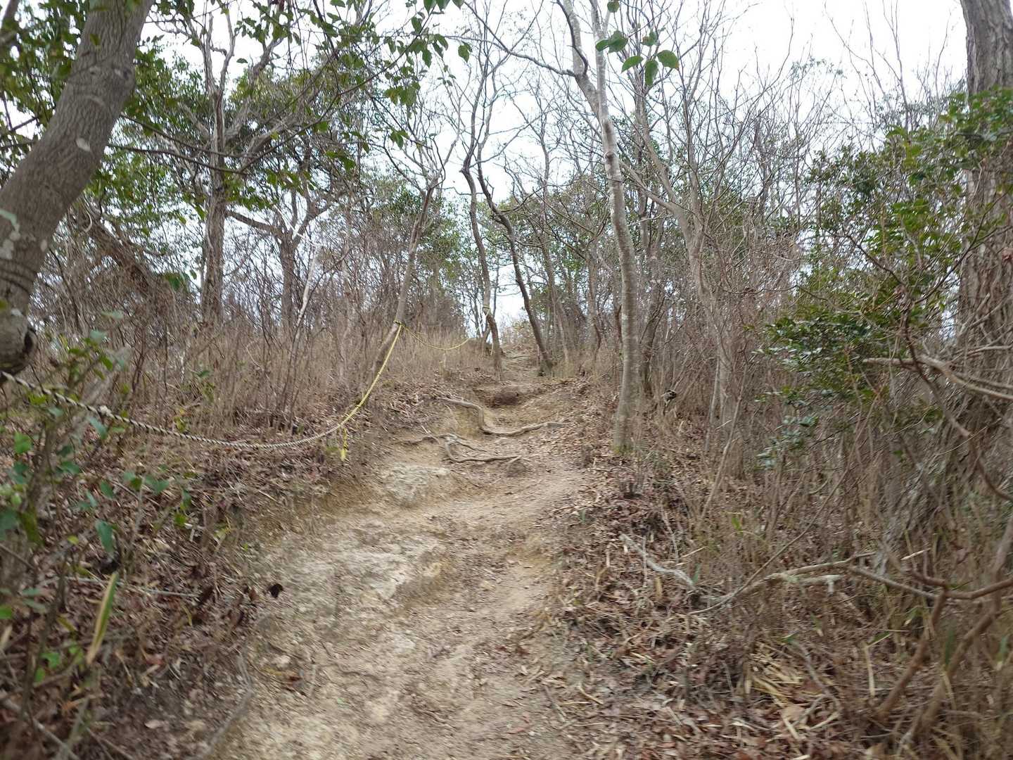 呼吸が早くなり、そろそろ休みたいなと思う頃、山頂到達