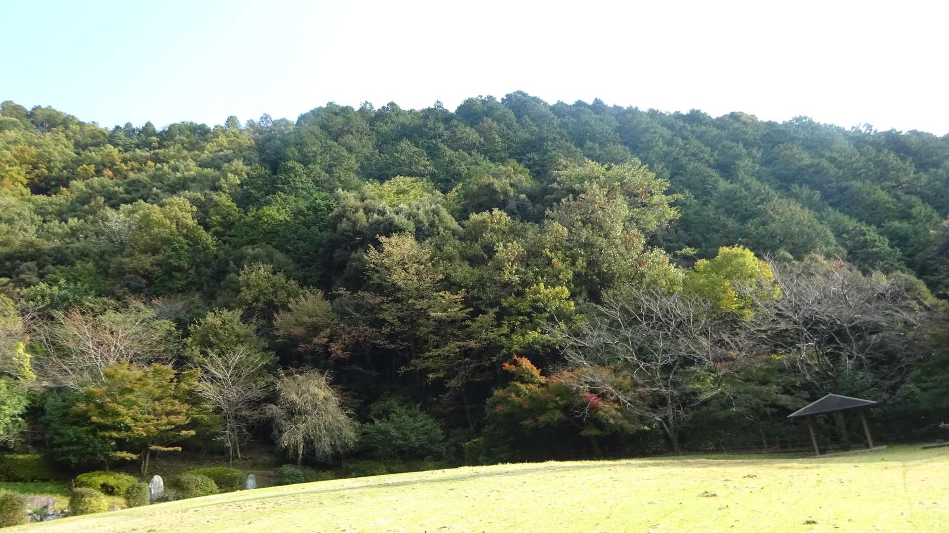 城台山-城ヶ峰 往復コースの写真