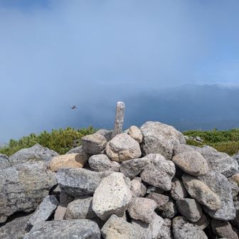 愛別岳山頂
最北の2000m峰

ここまで踏み跡はけっこうはっきり