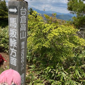 着いた〜台倉高山！
これで、AROUND FIVE TOP 達成🎉🎉㊗️
田代山の山開きなのに・・ここまで来ちゃった