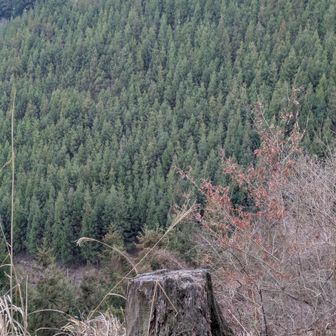 おいおい、まだこんなに残っているぞ！