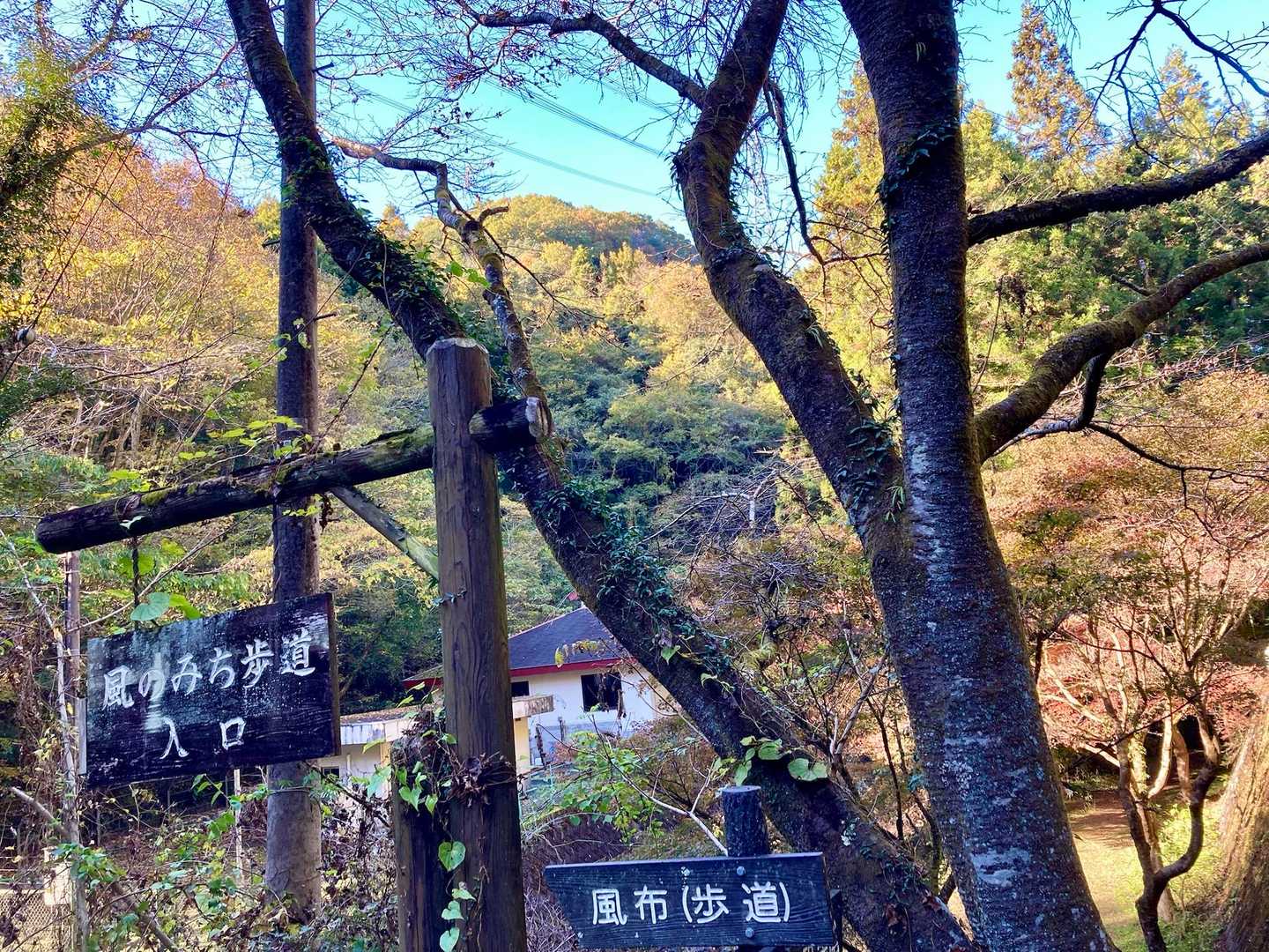 波久礼駅までの帰り道は、風のみち歩道を通って歩きました☺️