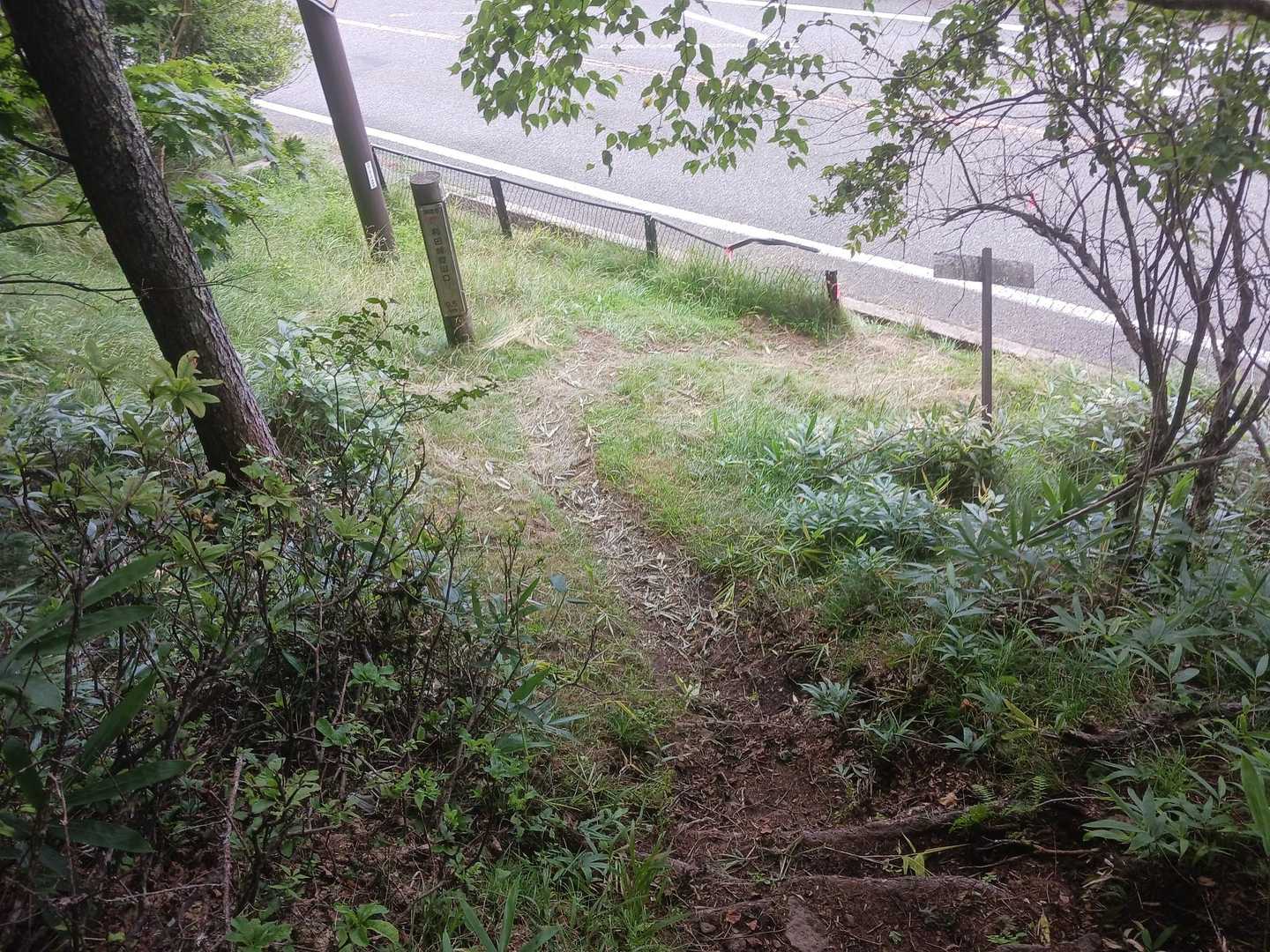 登山口に戻ってきました