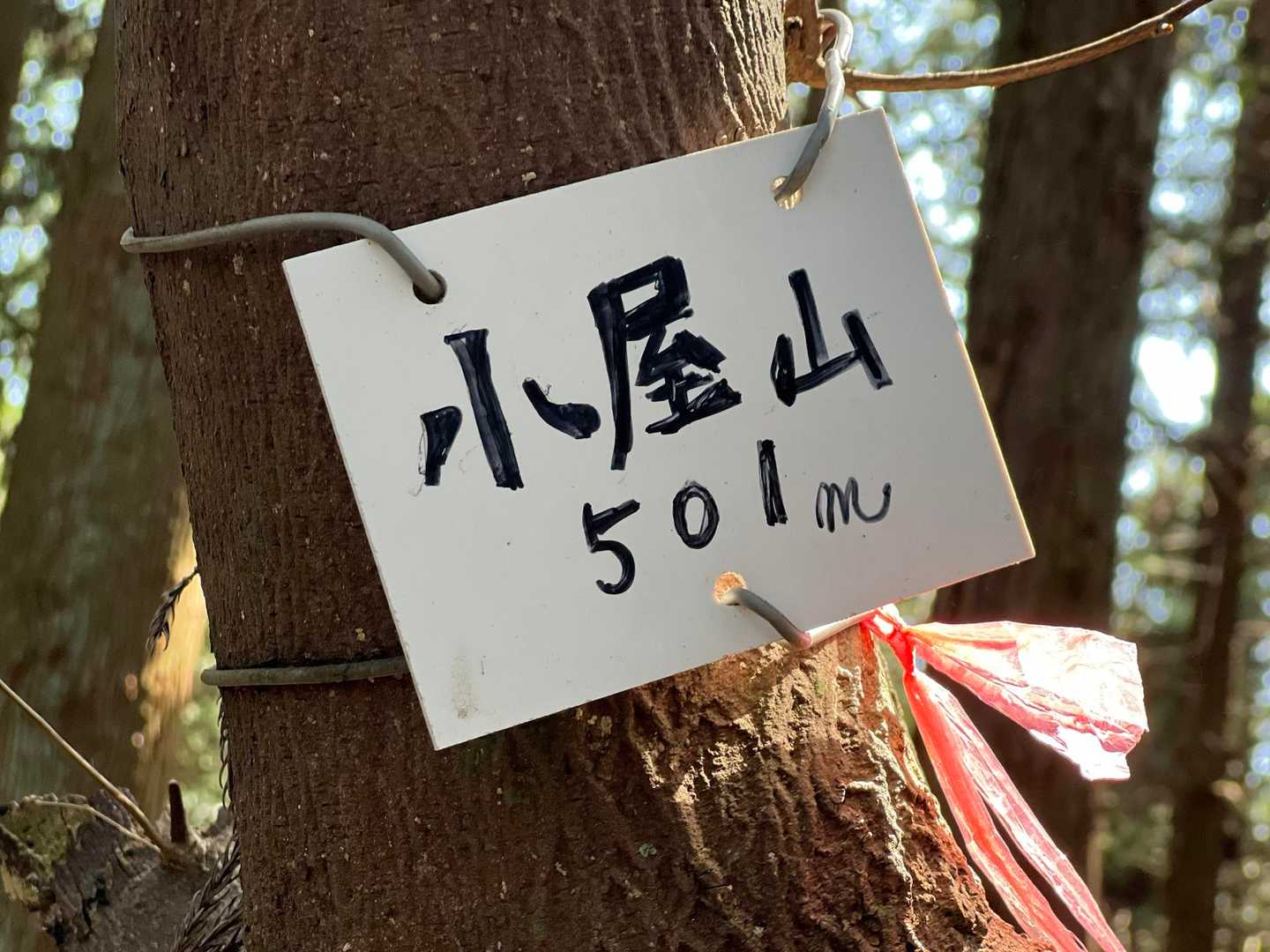 小屋山到着〜🗻
ここも眺望無し😣

この辺りからたまに林道が出てくる