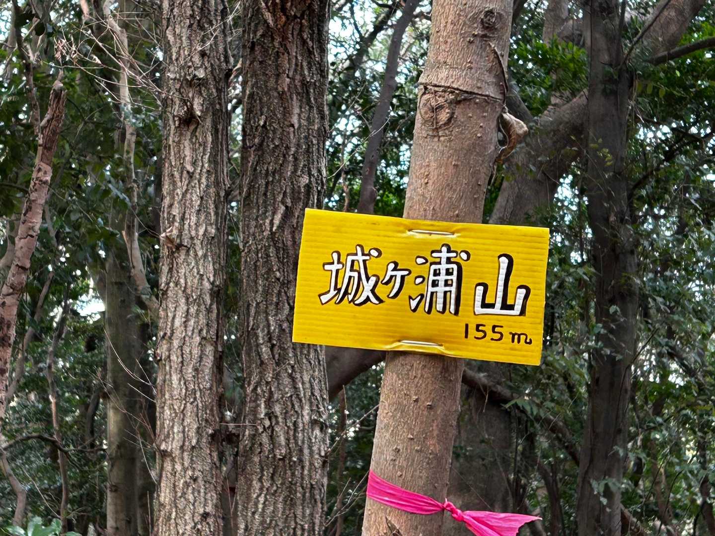 一座目
余裕や😜結構急登ある👍