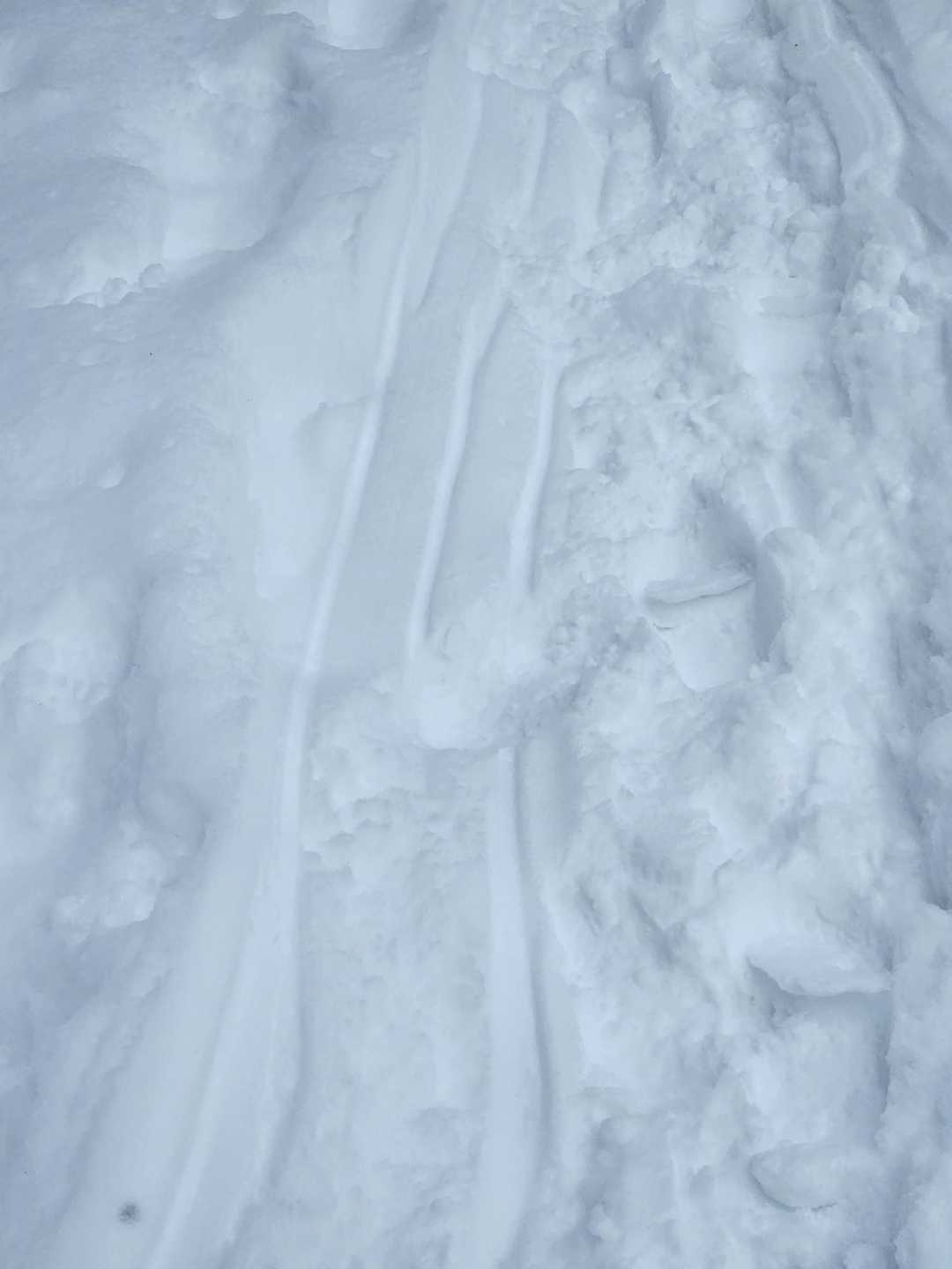 アレ？これはソリの跡かな。山頂手前で引き返してソリ遊びされたのかも。