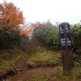 畚岳は午後お天気回復してるかもしれないので本日のラスボスに設定しよう👍✨