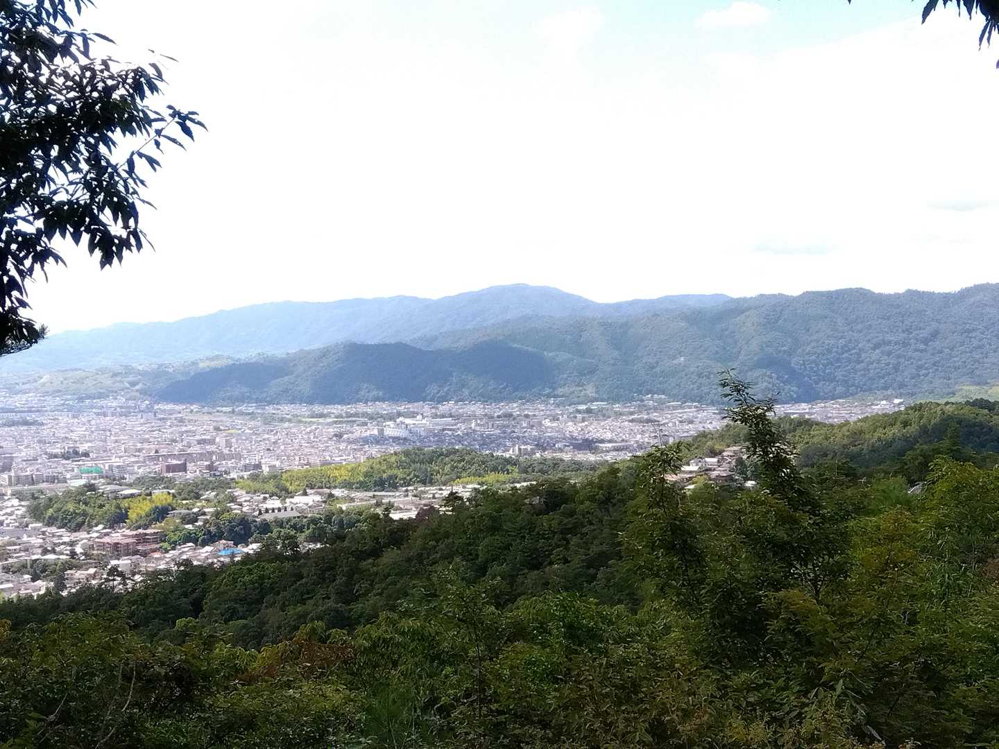 愛宕山方面でしょうか